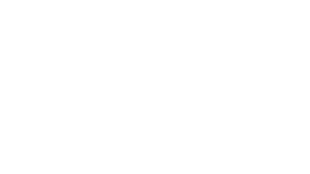 Bizzy app
